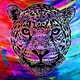 JaguarsCryptoClub