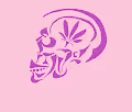 PotSkull