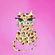 Hawa Cat 1/1 Boutique