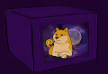 Things In a Box