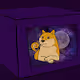 Things In a Box