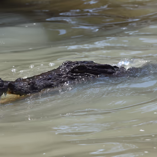 Kenya - One Toad Photography