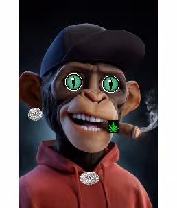 cryptoorangutanpunks