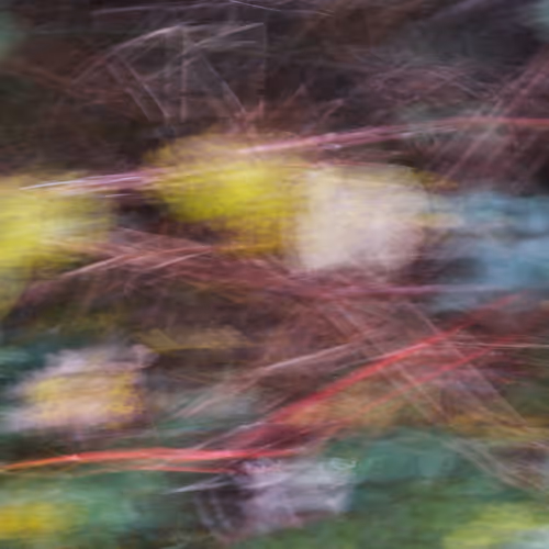 "Malerei" Naturfotografie