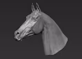 Legend Horse
