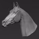 Legend Horse