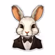 NickArt Rabbit Collections