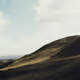Test Collection 2
