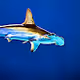 The Treasures of the Deep