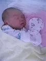Qiqi's life record