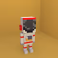Poly Voxel