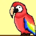 Guacamayas World
