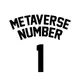 Metaverse Number