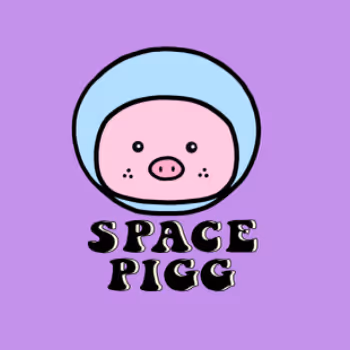 space pigg