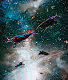 Fish Bowl Galaxy