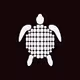 Slow Turtles Official