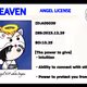ANGEL LICENSE