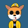 Angry Shiba Club