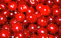 The Cherry on a Stone Collection