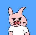 cool-pig