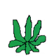 (FREE MINT) Paint 420 Club