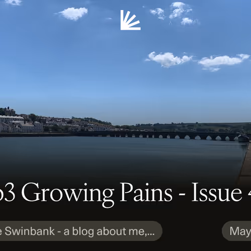 Web3 Growing Pains - Issue 43