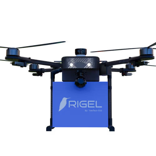 RIGEL