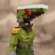 TSS Voxel Collection