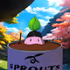 Baby Sprouts - First Light ( Migration )