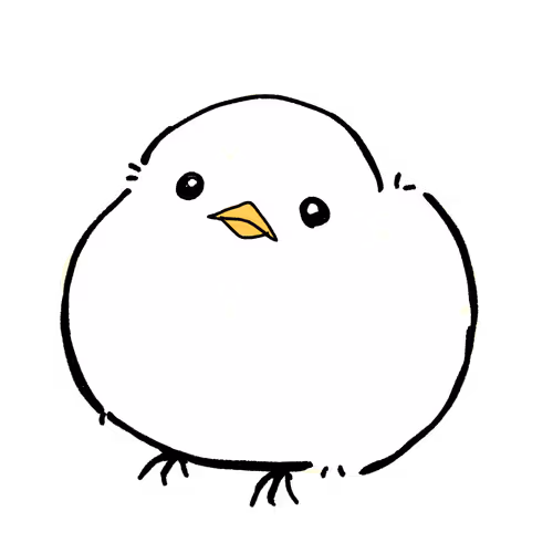 コレクション完売御礼NFT