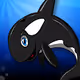 Killer Whale Alert!
