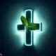 Crossmint highlight