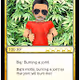 Buzz Bud Toon cards