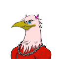 House of Hawks