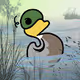 Duck Ponds
