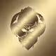 Mad Meta Senseis Qi Coins