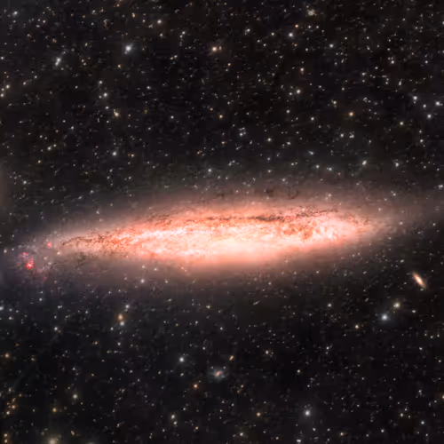 Mizter Bonezz x Hawk T-13 #1