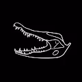 Crocodile Crew