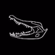 Crocodile Crew