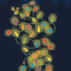 Merry and Bright by Alicia Freeman x Reddit Collectible Avatars