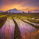 my village is peaceful