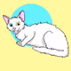 Cloudy MeowMeow