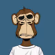 ACTIVE PRIMATES