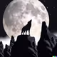 Mystery wolf charts