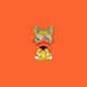 The Cool Shibas