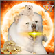 Mizzi NFT