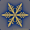 non-fungible snowflakes