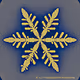non-fungible snowflakes