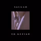 Salgan