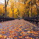 Fall in NYC